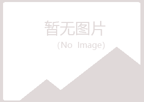 罗田县字迹咨询有限公司